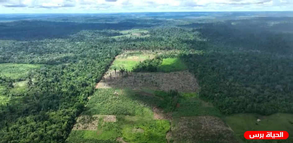 البرازيل تطلق خطة لحماية غابات الأمازون وتستهدف إيقاف قطع الأشجار بحلول عام 2030